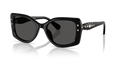 Swarovski SK6058U  Sunglasses