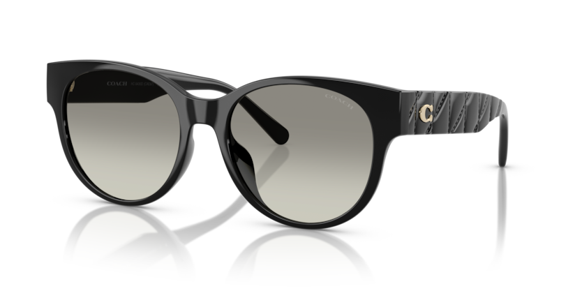 Coach HC8430D Cae87 Sunglasses