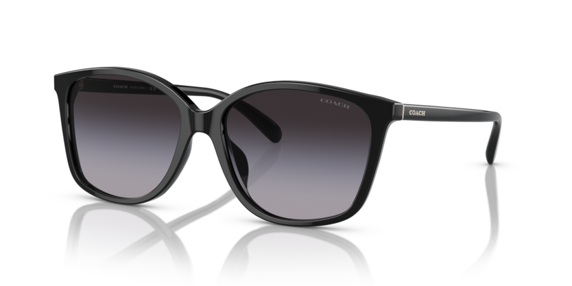 Coach HC8361U Ch558 Sunglasses