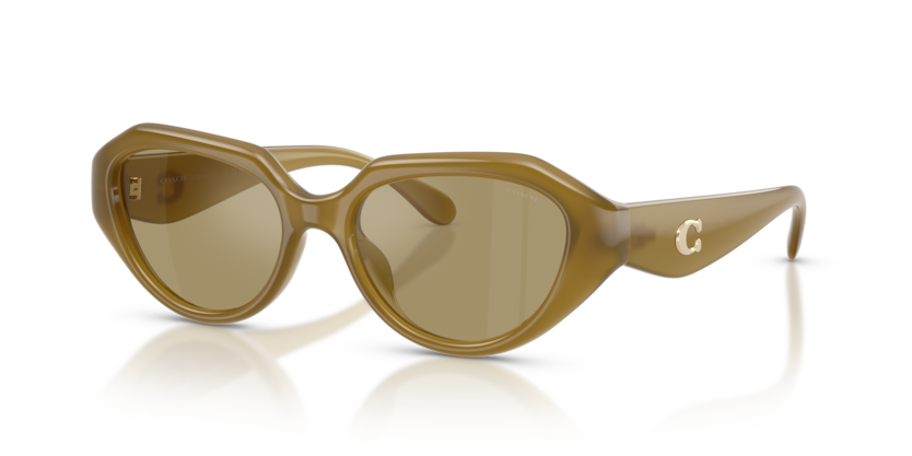 Coach HC8433U Cby77 Sunglasses