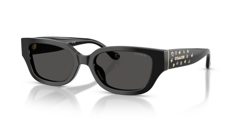 Coach HC8439U Cbz52 Sunglasses