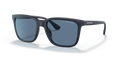Armani Exchange AX4112SU  Sunglasses