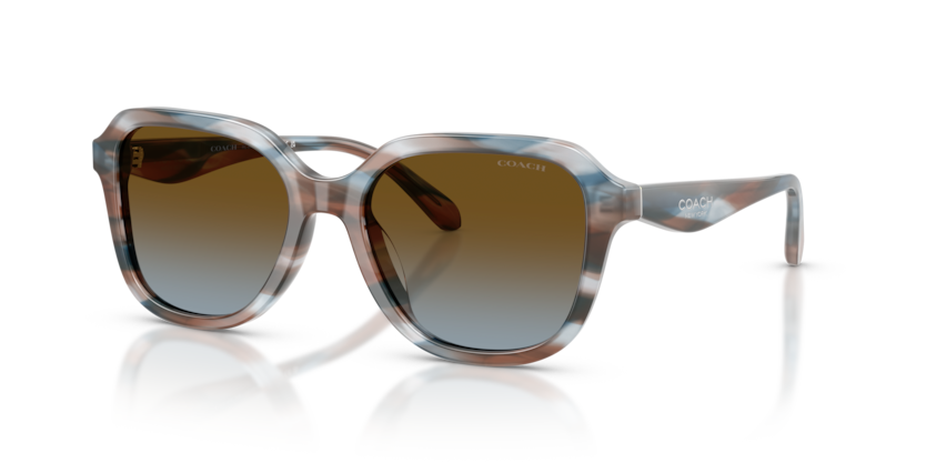 Coach HC8437U Cby87 Sunglasses