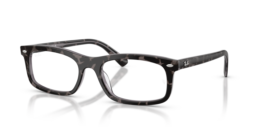 Ray-Ban Vista RX5450  Eyeglasses