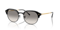 Ray-Ban RB4429  Sunglasses