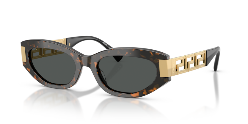 Versace VE4501  Sunglasses