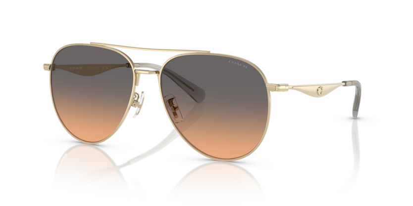 Coach HC7169 Cw193 Sunglasses