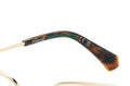 Polaroid PLD D538 Eyeglasses
