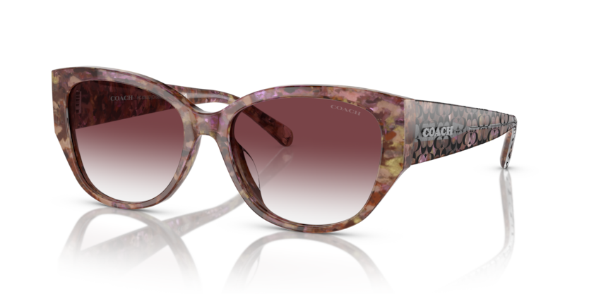 Coach HC8362U Ch563 Sunglasses