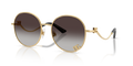Dolce & Gabbana DG2324  Sunglasses