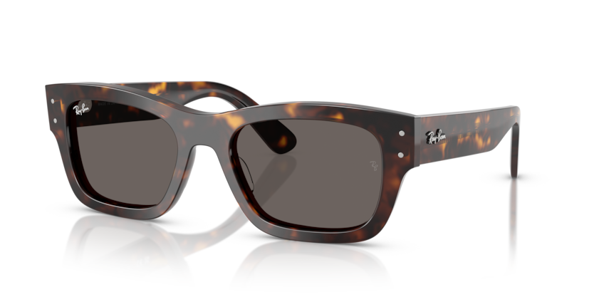 Ray-Ban RB7683S Joseph Sunglasses