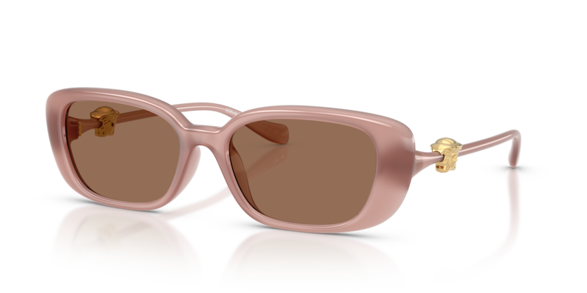 Versace VE4504D  Sunglasses