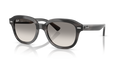 Ray-Ban RB4398 Erik Sunglasses