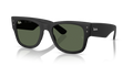 Ray-Ban RB4840S  Sunglasses