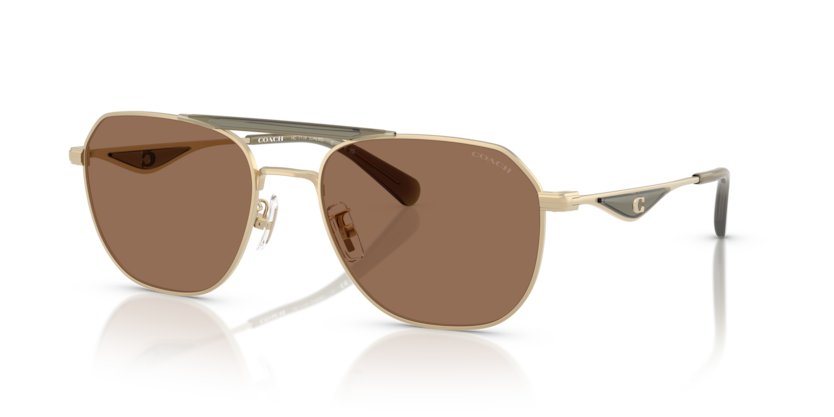 Coach HC7178 Cae80 Sunglasses