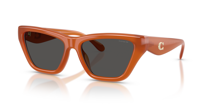 Coach HC8449U Cdp33 Sunglasses
