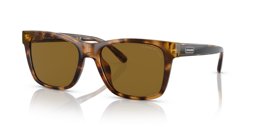 Coach HC8359U Cd455 Sunglasses