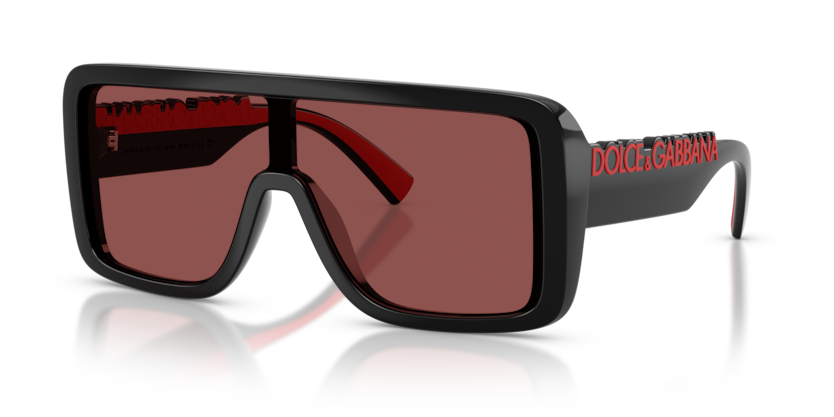 Dolce & Gabbana DG6204  Sunglasses