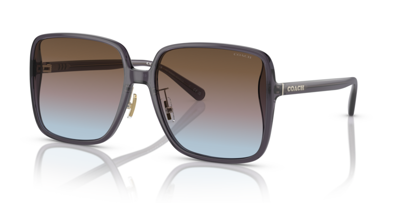 Coach HC8368D Ch572 Sunglasses