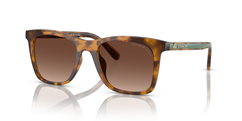 Coach HC8374F Ck463 Sunglasses