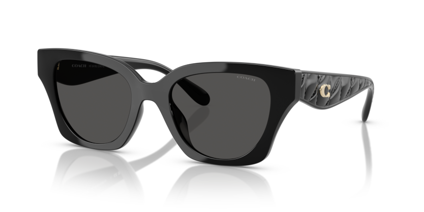 Coach HC8418U Cad18 Sunglasses