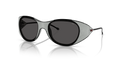 Diesel DL3003  Sunglasses