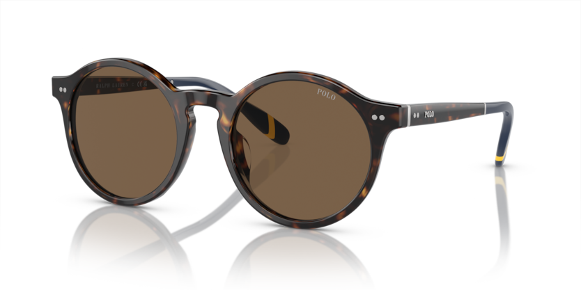 Polo PH4204U  Sunglasses