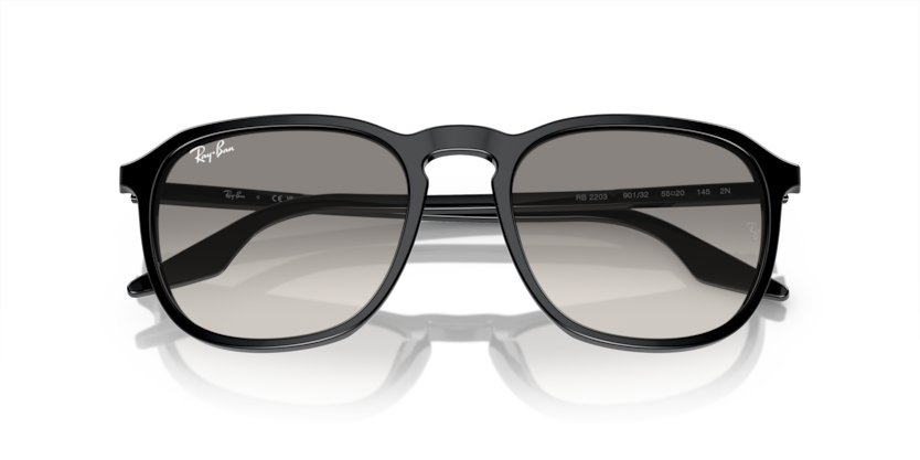 Ray-Ban RB2203  Sunglasses