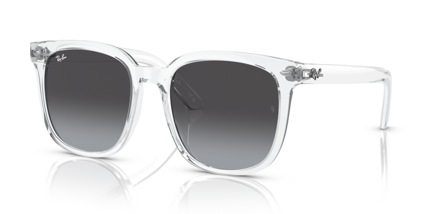 Ray-Ban RB4401D  Sunglasses