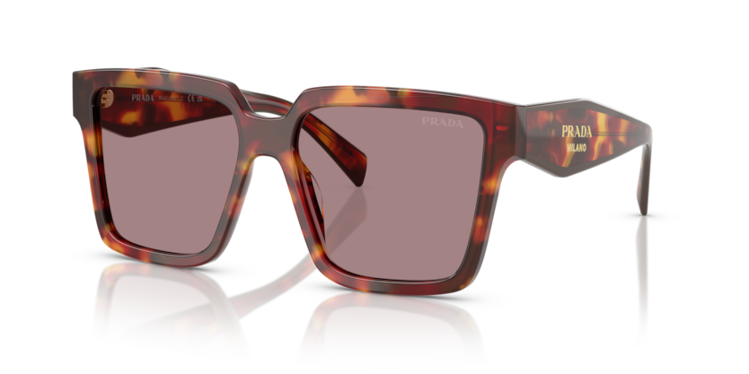 Prada PR 24ZSF  Sunglasses