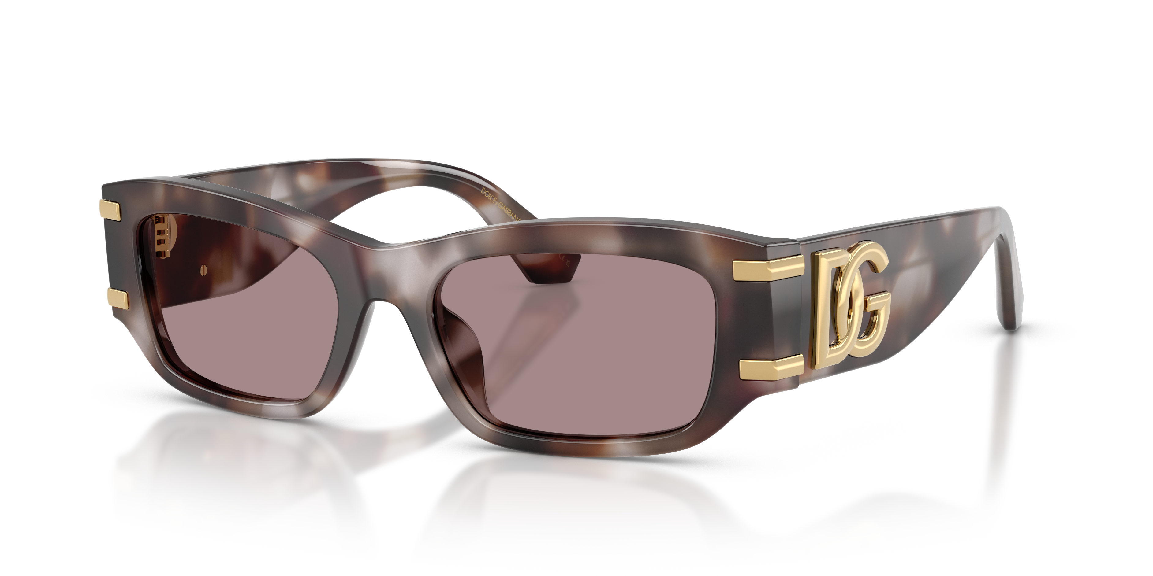 Dolce & Gabbana DG4564  Sunglasses