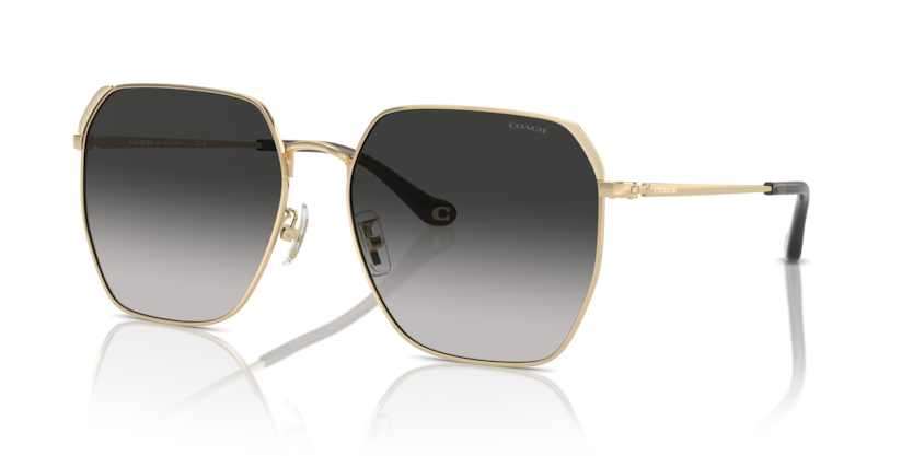 Coach HC7165D Cr638 Sunglasses