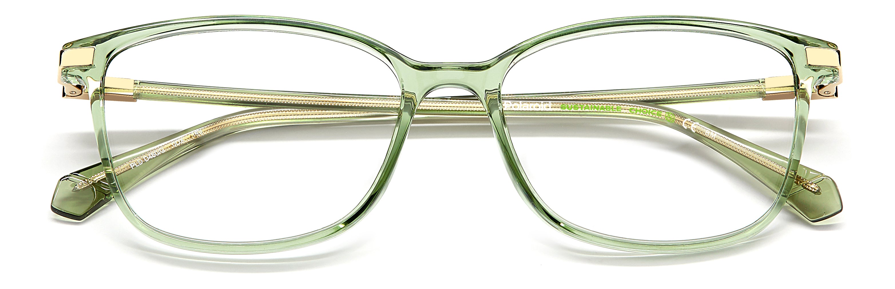 Polaroid Pld D460/g Eyeglasses