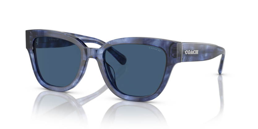 Coach HC8379U Cl920 Sunglasses