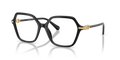 Swarovski SK2075  Eyeglasses