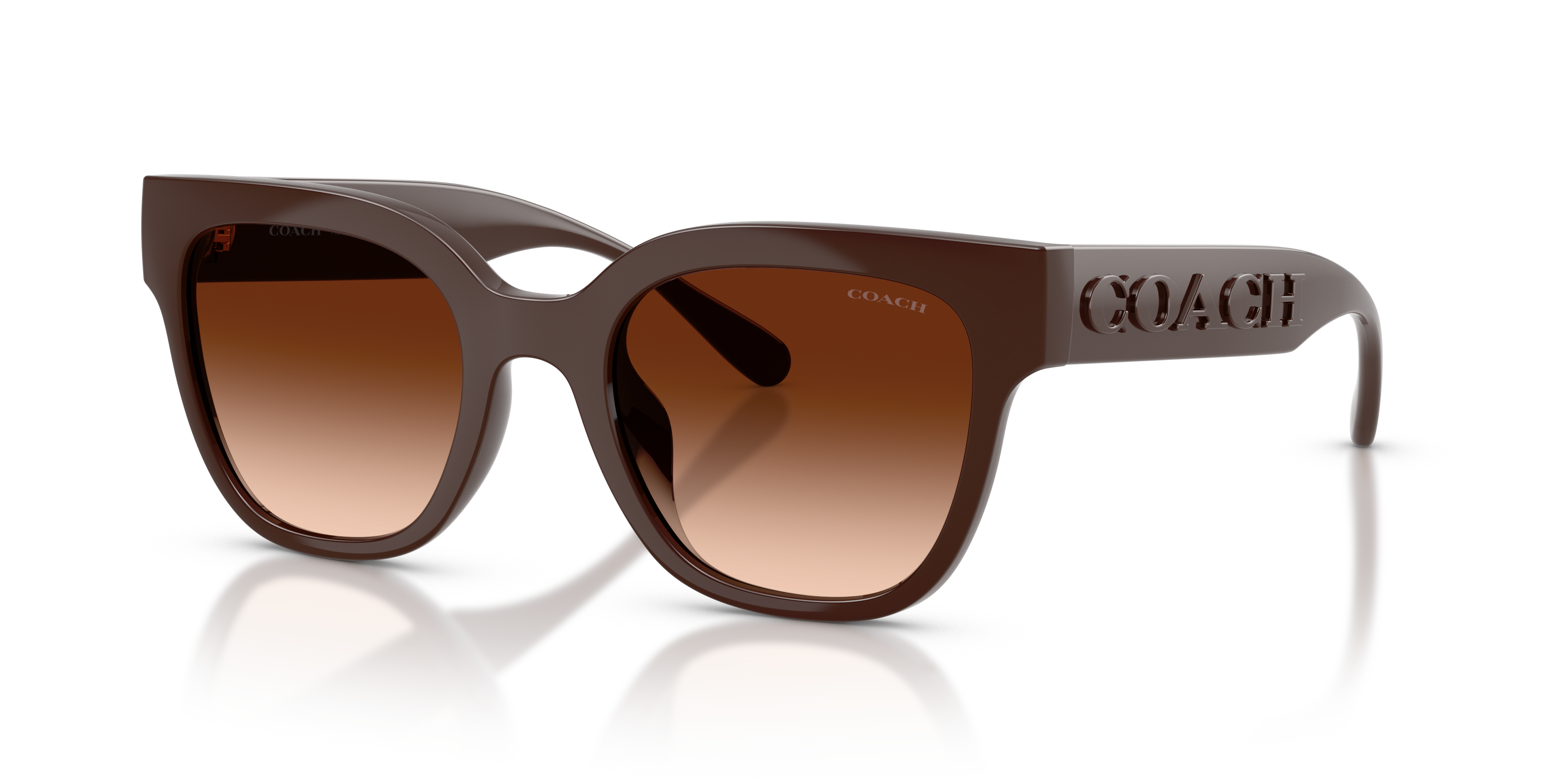 Coach HC8460U Cft88 Sunglasses