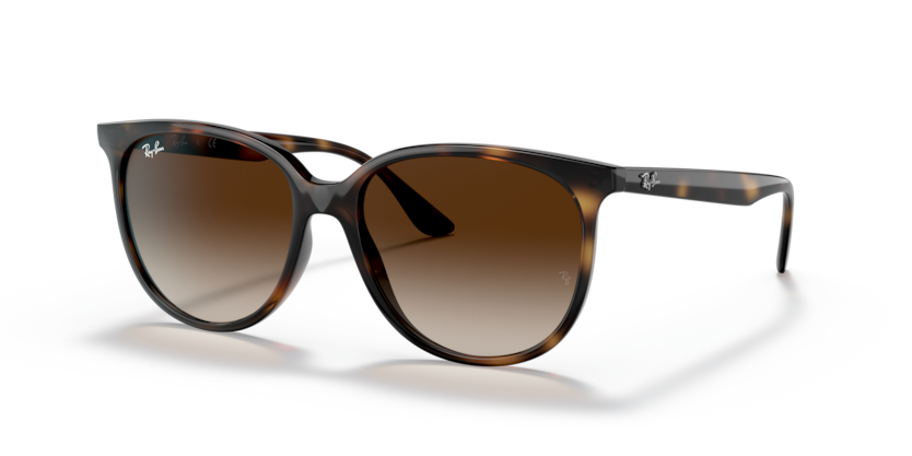 Ray-Ban RB4378F  Sunglasses