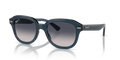 Ray-Ban RB4398 Erik Sunglasses