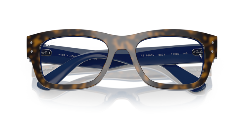 Ray-Ban Vista RX7683V Joseph Eyeglasses