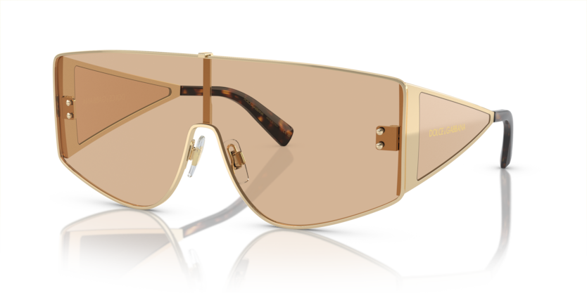 Dolce & Gabbana DG2305  Sunglasses