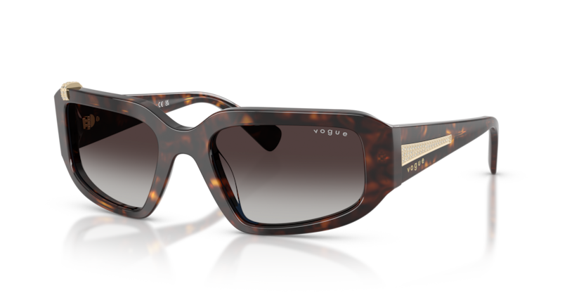 Vogue VO5688SB  Sunglasses