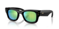 Ray-Ban RB4940 Wayfarer Puffer Sunglasses