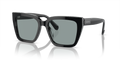 Swarovski SK6013  Sunglasses