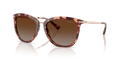 Ralph RA5245  Sunglasses