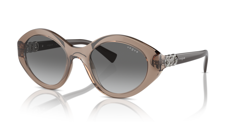 Vogue VO5576SB  Sunglasses