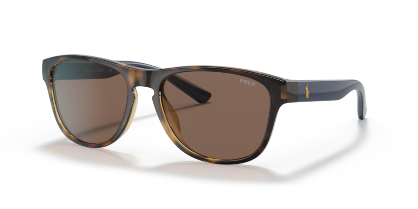 Polo PH4180U  Sunglasses