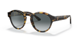 Giorgio Armani AR8146  Sunglasses