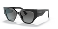 Vogue VO5409S  Sunglasses