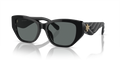 Tory Burch TY7196U  Sunglasses