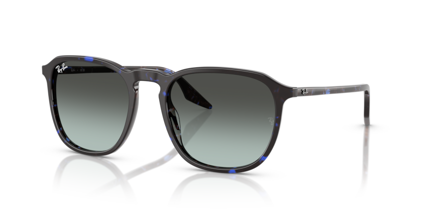 Ray-Ban RB2203  Sunglasses